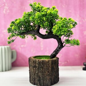 Artificial Bonsai Plant – Small Japanese Pine in Wooden Pot Design H