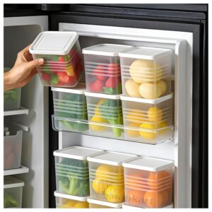 Fridge organizer box under ₹1000 for kitchen storage