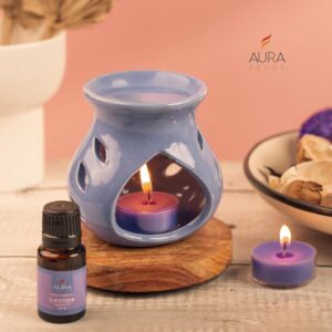 Fragrance diffuser set with reed sticks for home aromatherapy