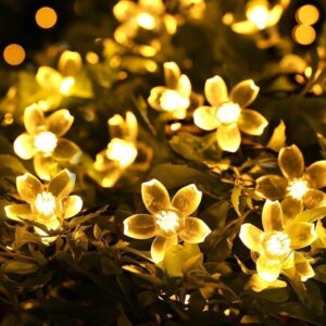 Fizzytech 5-meter silicone flower LED string light with 25 warm glowing flower-shaped LEDs.