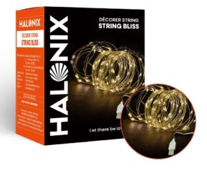 Halonix Bliss warm white rice light USB powered – best under 1000 string lights for bedroom